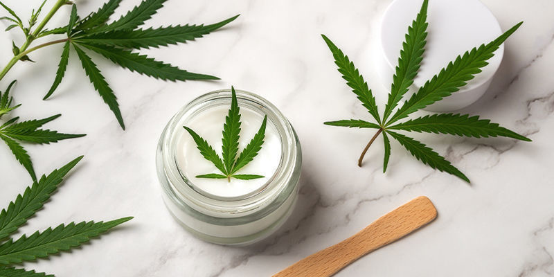 Innovaatio kannabissektorilla: liiketoiminta kasvaa vauhdilla Innovaatio kannabissektorilla: liiketoiminta kasvaa vauhdilla
