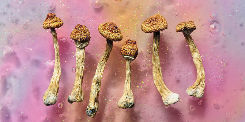 Psilosybiini Psilocybin