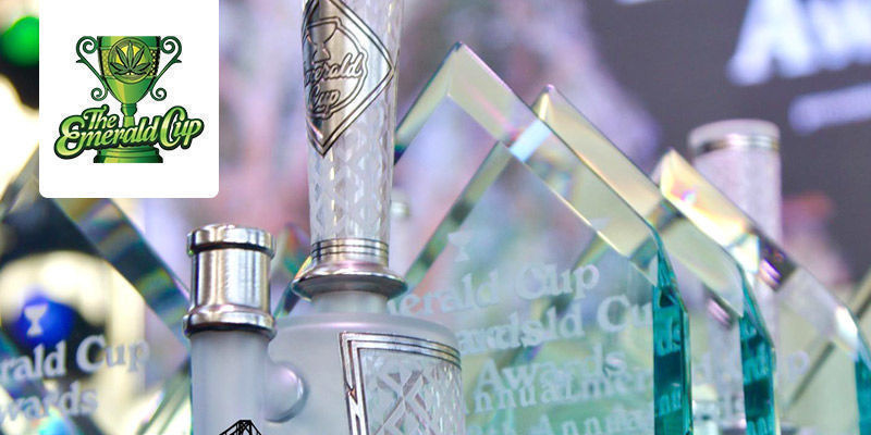 The Emerald Cup – Kalifornia, USA The Emerald Cup – Kalifornia, USA