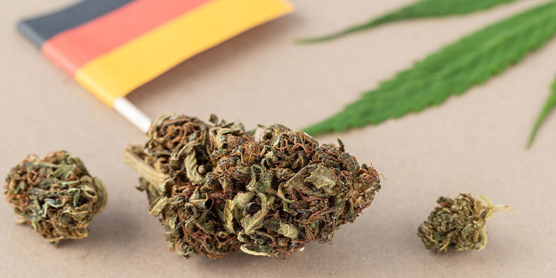 Mikä on kannabista koskeva laki Saksassa? Mikä on kannabista koskeva laki Saksassa?