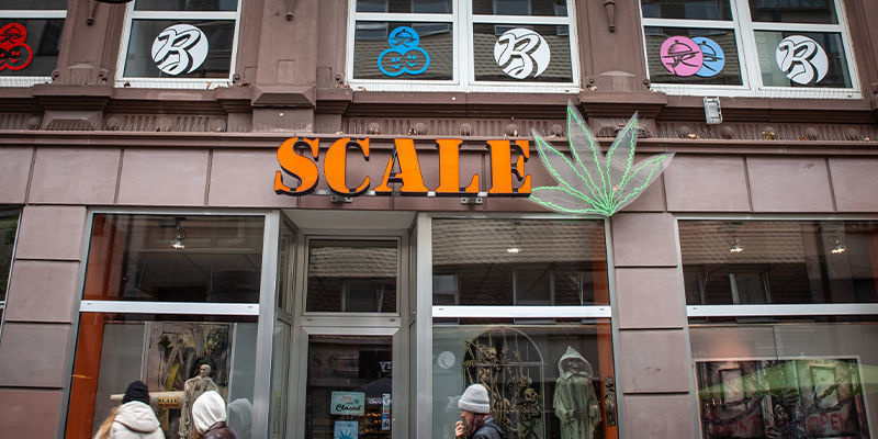 Mitä uusia kannabisyrityksiä on olemassa? Mitä uusia kannabisyrityksiä on olemassa?
