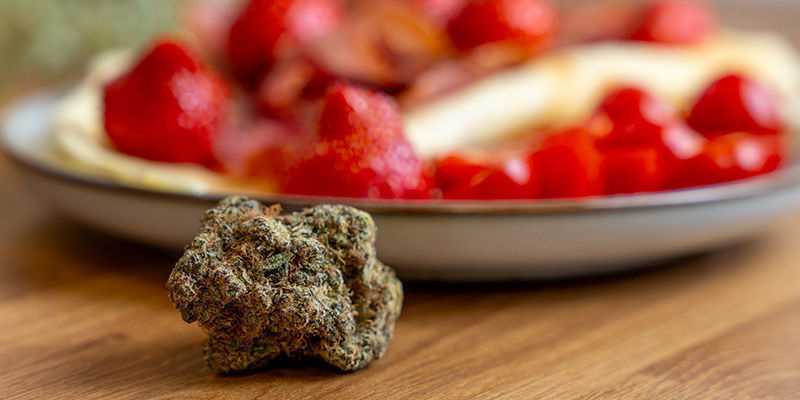 Breakfast Bliss: kannabisaiheinen kokkailuseikkailusi odottaa Breakfast Bliss: kannabisaiheinen kokkailuseikkailusi odottaa