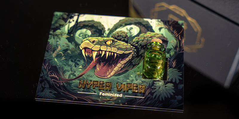 Rank 2 — Rising Cobra: Hyper Vyper Rank 2 — Rising Cobra: Hyper Vyper