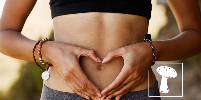 Mit&auml; sienet tekev&auml;t kehollesi?