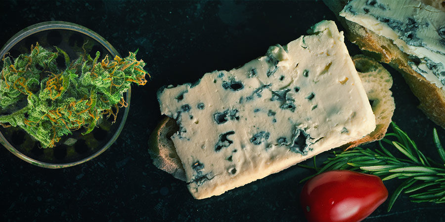 Blue Cheese: Maku & vaikutukset BLUE CHEESE: FLAVOUR & EFFECTS