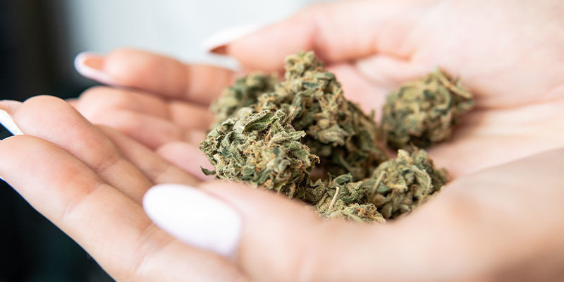 Kannabiksen hyödyt biohakkauksen työkaluna Kannabiksen hyödyt biohakkauksen työkaluna