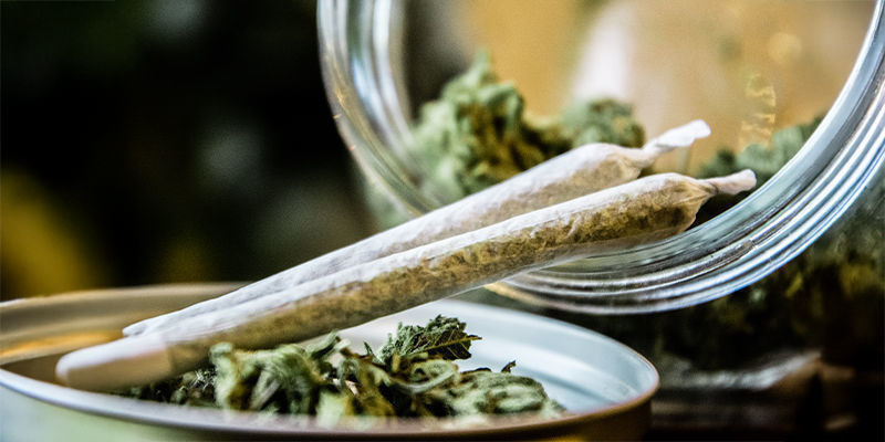 Kannabisbiohakkeroinnin riskit, haitat ja eettiset näkökohdat Kannabisbiohakkeroinnin riskit, haitat ja eettiset näkökohdat