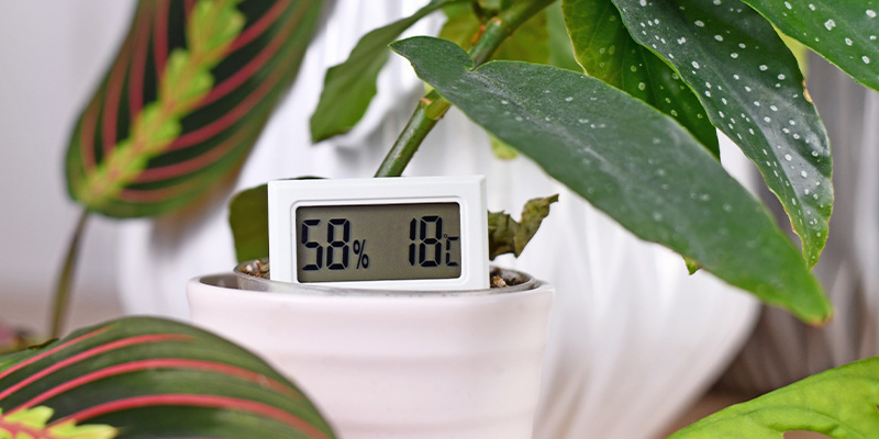 Ylläpidä sopiva ilmankosteus Maintain proper humidity levels
