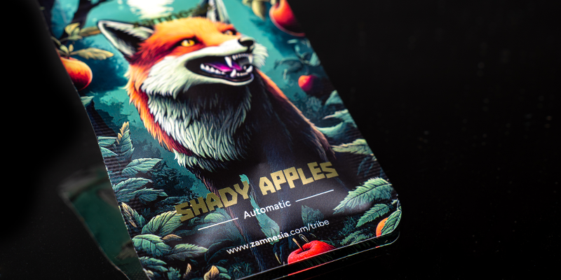 Sija 1: Shady Apples Automatic (Zamnesia Seeds) Rank 1: Shady Apples Automatic (Zamnesia Seeds)