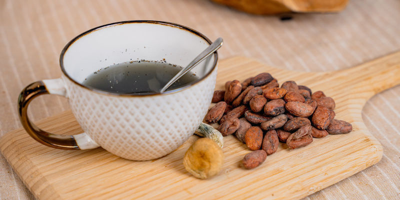 Kuinka valmistaa kotitekoinen taikasieni–kaakaojuoma (Chocolātl) Kuinka valmistaa kotitekoinen taikasieni–kaakaojuoma (Chocolātl)