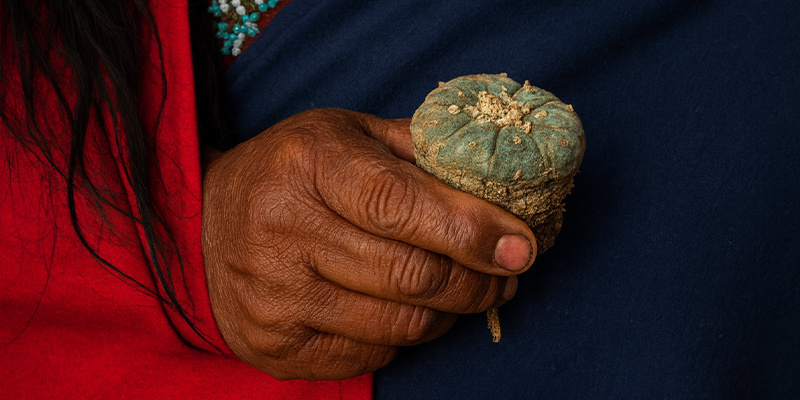 Peyote-seremonian kulku Peyote-seremonian kulku