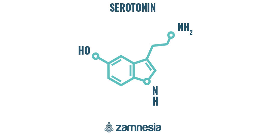 Miten LSD toimii? Miten LSD toimii?