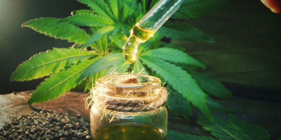 Kannabiksella infusoidun oliiviöljyn annostelu Kannabiksella infusoidun oliiviöljyn annostelu