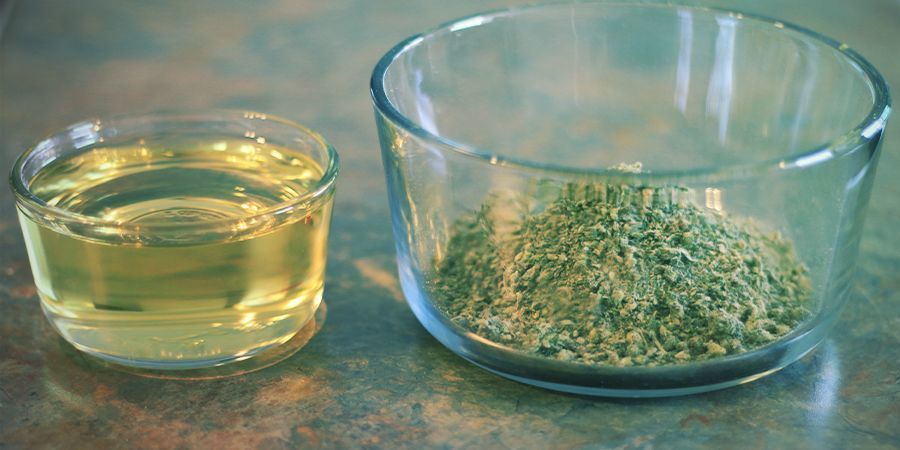 Ainekset ja välineet Kannabis-oliiviöljyn valmistus: ainekset ja välineet