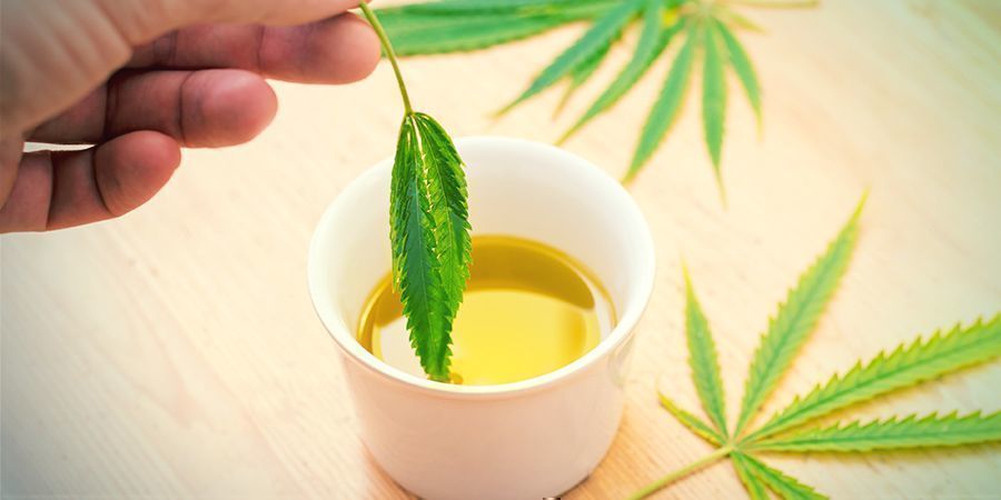 Mitä on kannabiksella infusoitu oliiviöljy? Mitä on kannabiksella infusoitu oliiviöljy?