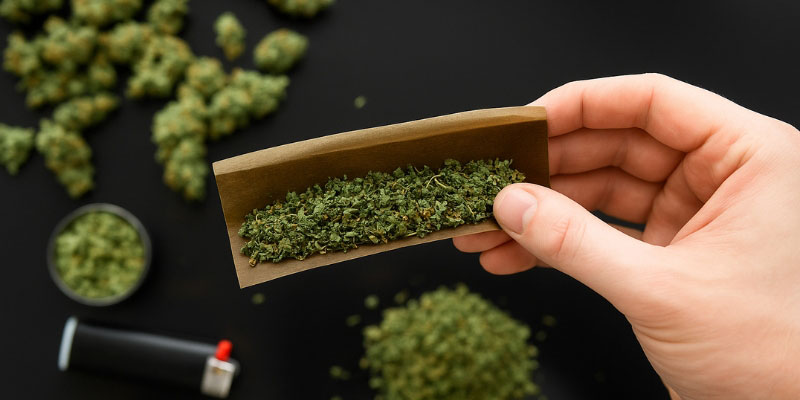 CBD-kukka (suosituin) CBD-kukka (suosituin)
