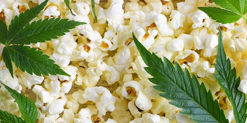 Kannabissyötävät nykyään Kannabissyötävät nykyään