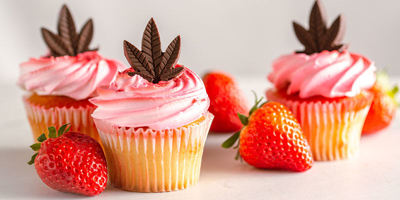 Miksi kannabiksen syötävät voivat iskeä kovempaa Miksi kannabiksen syötävät voivat iskeä kovempaa