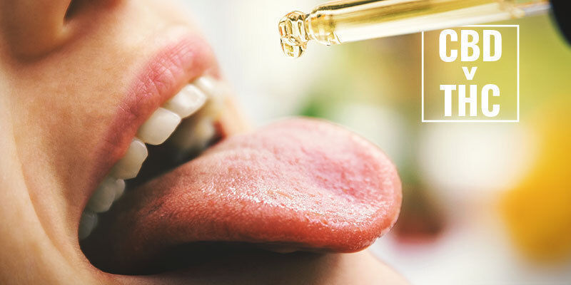 Voiko CBD muuntua THC:ksi ihmiskehossa? Voiko CBD muuntua THC:ksi ihmiskehossa?