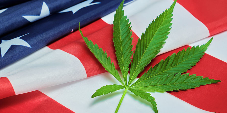 Kuinka suuri kannabisteollisuus on Yhdysvalloissa? Kuinka suuri kannabisteollisuus on Yhdysvalloissa?
