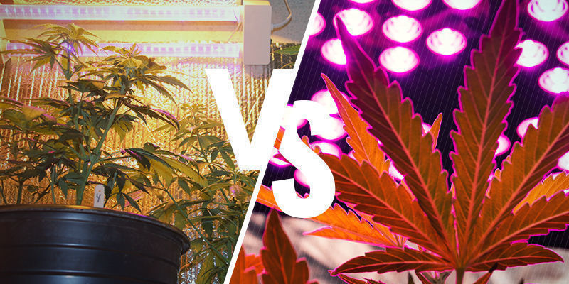 Kumpi on parempi: HPS vai LED? Kumpi on parempi: HPS vai LED?