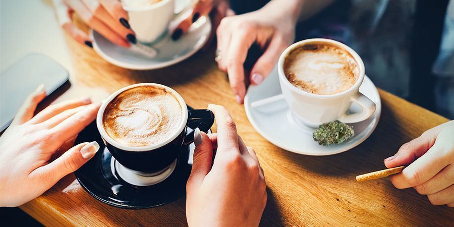 Kannabiksen ja kahvin vaikutus vaihtelee ihmisestä toiseen KANNABIKSEN JA KAHVIN VAIKUTUS VAIHTELEE IHMISESTÄ TOISEEN
