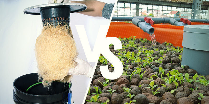 Aeroponiikka vs hydroponiikka: kumpi on parempi? Aeroponiikka vs hydroponiikka: kumpi on parempi?