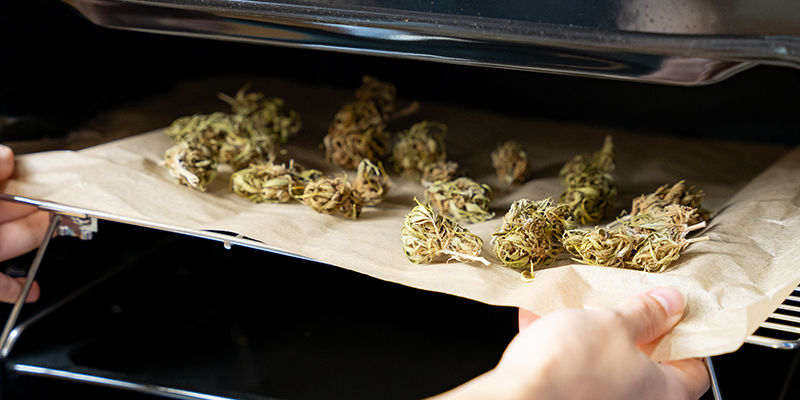 Kuinka dekarboksyloida kannabiksen kukkia uunissa Kuinka dekarboksyloida kannabiksen kukkia uunissa