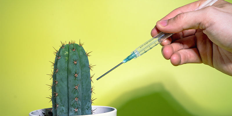 Kemiallinen doping Kemiallinen doping