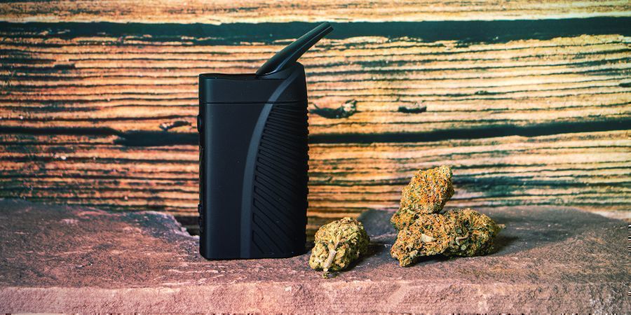 KÄYTÄ TUOREITA KANNABISKUKINTOJA