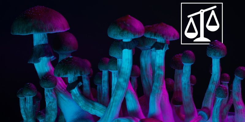 Erot psykedeelien välillä Differences Between Psychedelics