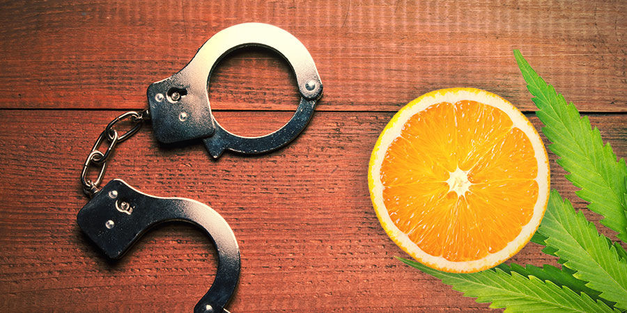 Agent Orange: Maku & vaikutukset AGENT ORANGE: FLAVOUR & EFFECTS