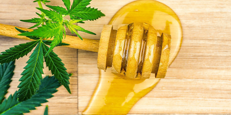 Kannabiksella infusoitu hunajavoi Kannabiksella infusoitu hunajavoi