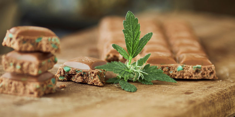 Kannabissuklaa Kannabissuklaa