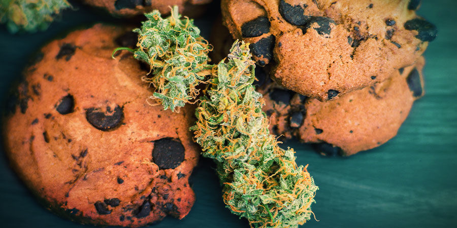 Girl Scout Cookies: Maku & vaikutukset GIRL SCOUT COOKIES: FLAVOUR & EFFECTS