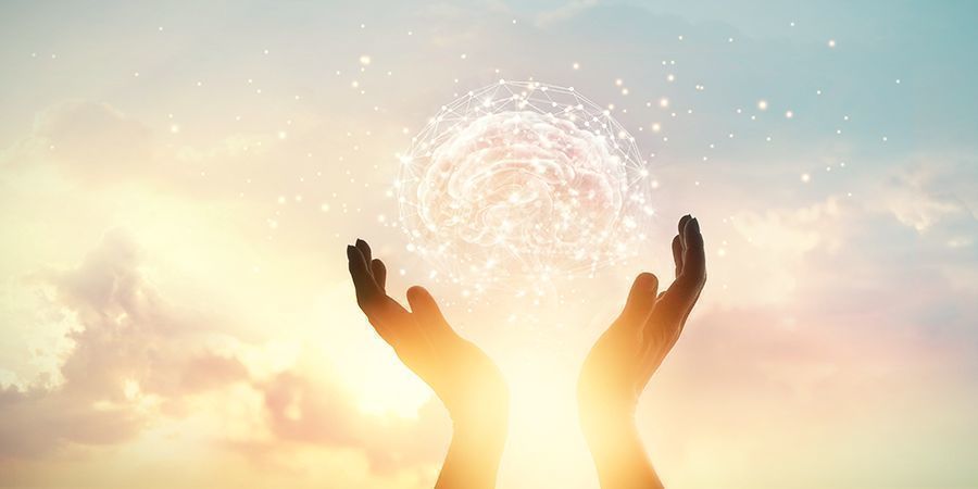 Taikasienet yhdistävät aivot uudella tavalla MAGIC MUSHROOMS CONNECT THE BRAIN ON NEW LEVELS
