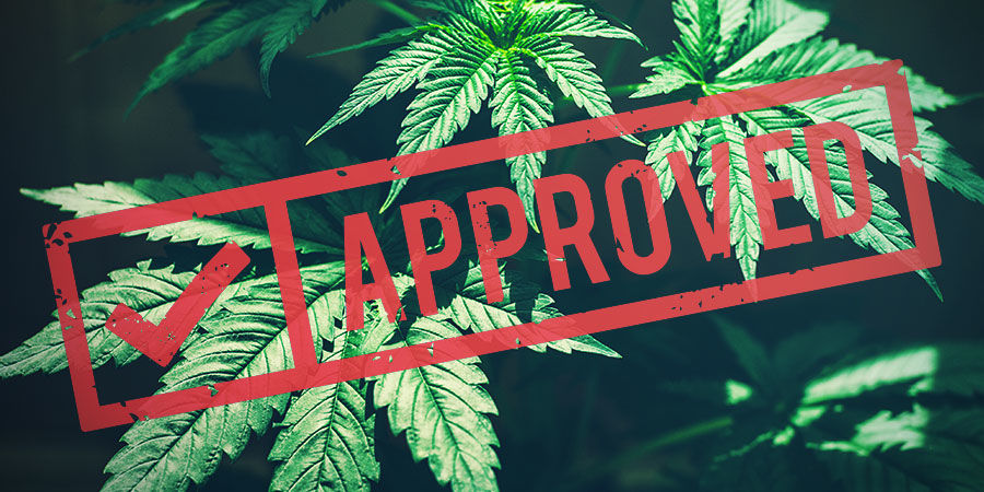 Hampun viimeaikaiset kehitysaskeleet ja tulevaisuus RECENT DEVELOPMENTS AND THE FUTURE OF HEMP