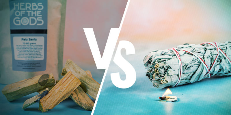 Palo Santo -puu vs. salvia Palo Santo -puu vs. salvia