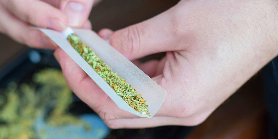 Kannabistoleranssin kehittyminen: mitä se tarkoittaa? Kannabistoleranssin kehittyminen: mitä se tarkoittaa?