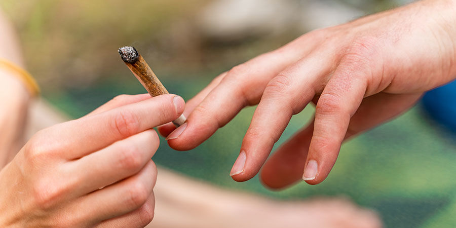 Hillitse kannabistoleranssisi jo tänään! Hillitse kannabistoleranssisi jo tänään!