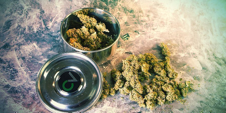 CVault säilyttää kannabista CVault storing Weed