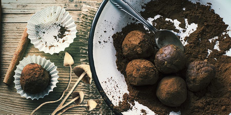 Xoconacatl: Magic Mushroom Energy Balls Xoconacatl: Magic Mushroom Energy Balls