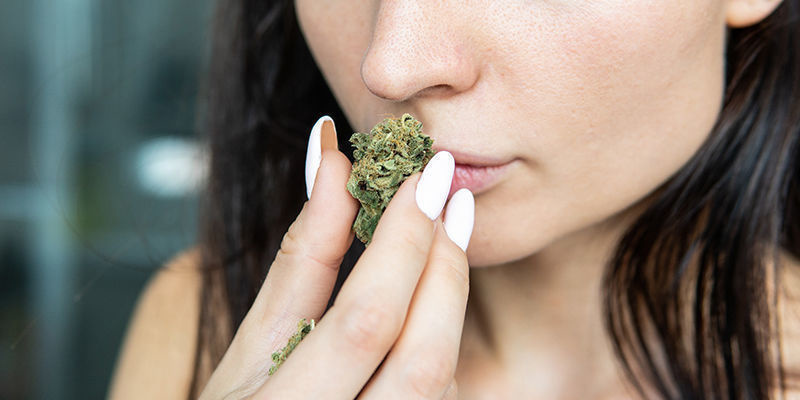 Miksi valita CBD-lajikkeet? Miksi valita CBD-lajikkeet?
