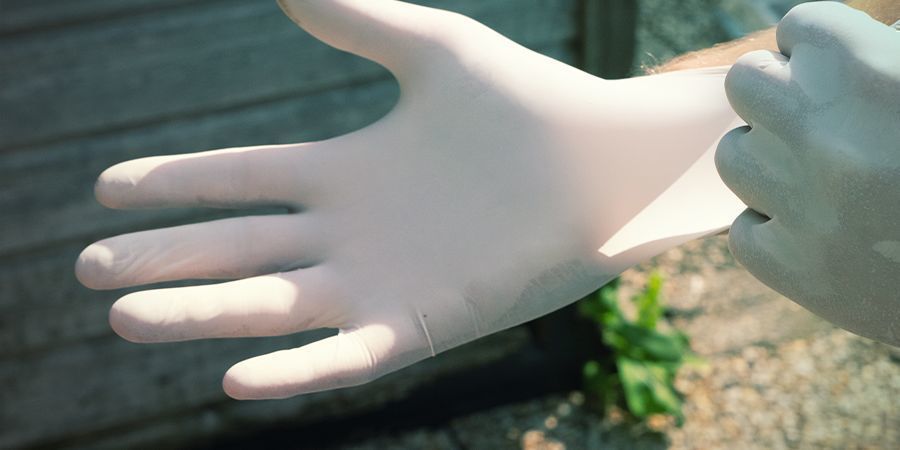 Mit&auml; steriili tekniikka taikasienille oikeastaan tarkoittaa?