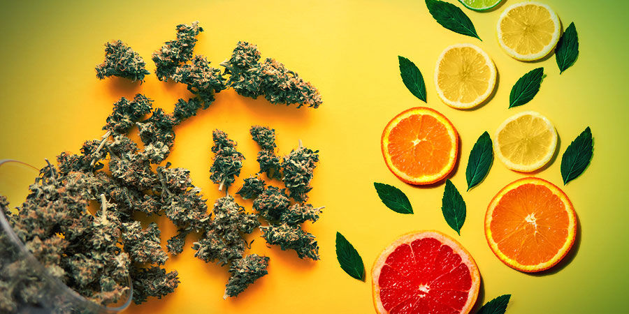 Sour Diesel : Maku & vaikutukset Sour Diesel : Maku & vaikutukset