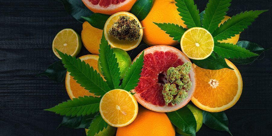 White Widow: Maku ja vaikutukset White Widow: Flavour And Effects