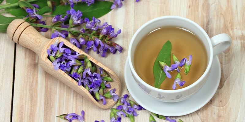 Miten Salvia divinorum toimii? Miten Salvia divinorum toimii?