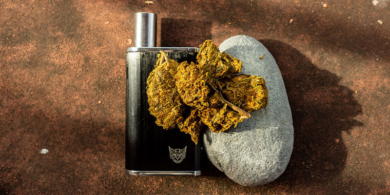 Kannabinoidien lämpötilaopas Kannabinoidien lämpötilaopas
