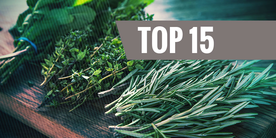 Top 15 parasta laillista yrtti&auml; h&ouml;yryst&auml;miseen