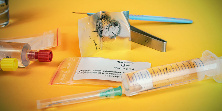 Kuinka tehd&auml; taikasienen iti&ouml;ruisku